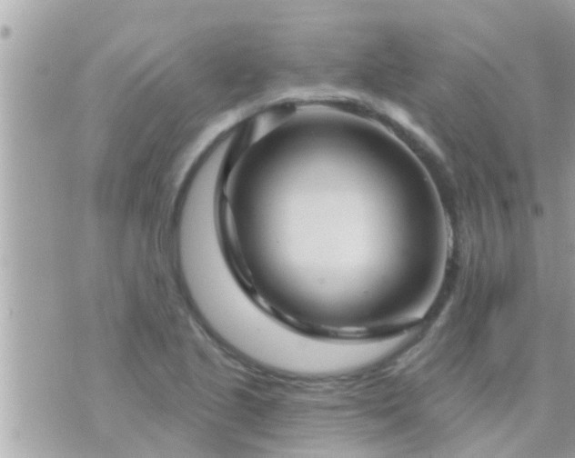 X0000073741221200608101946