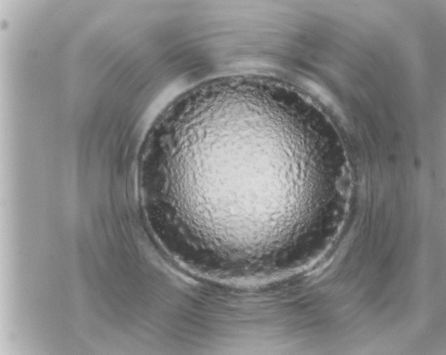 X0000073741275200608101946