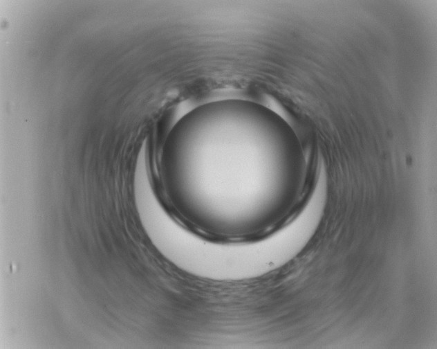 X0000073741346200608101944