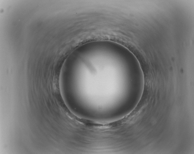X0000073741490200608101941
