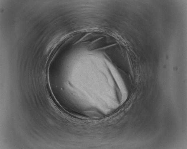 X0000073740002200608171318