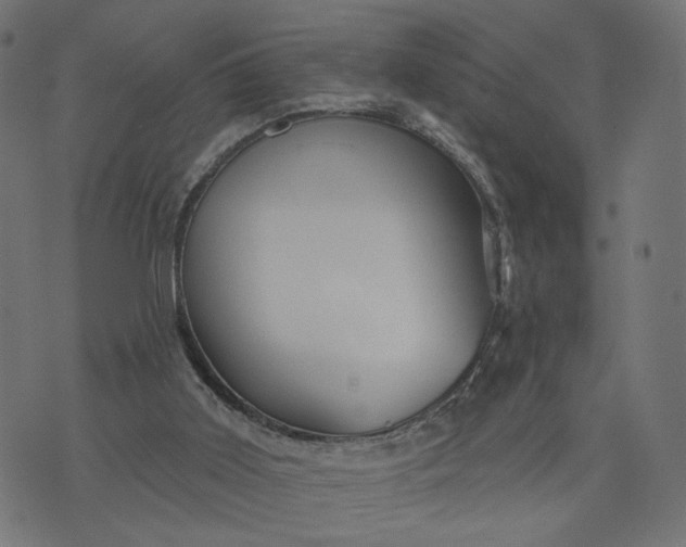 X0000073740011200608171317