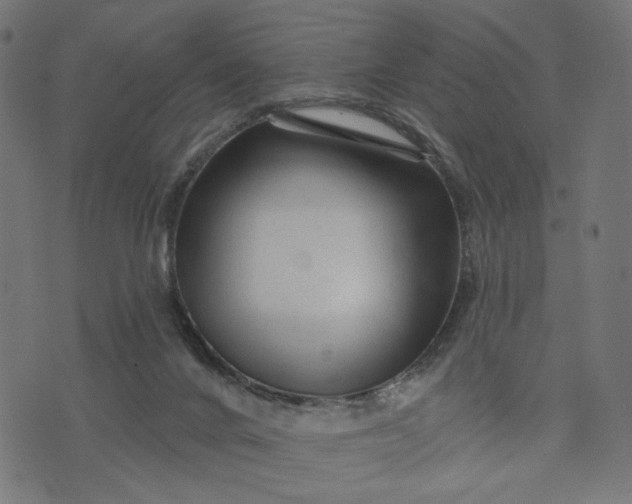 X0000073740024200608171317