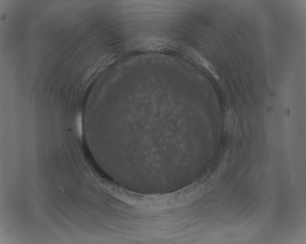 X0000073740027200608171317