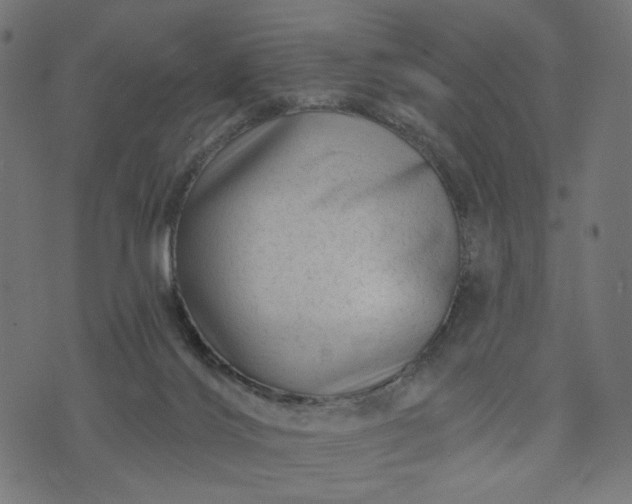 X0000073740028200608171317