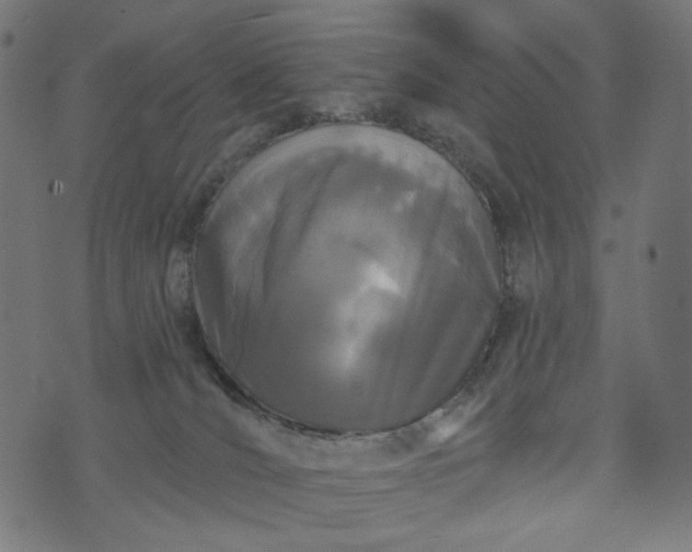 X0000073740036200608171317