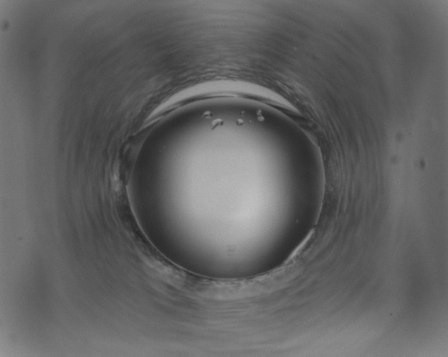 X0000073740037200608171317