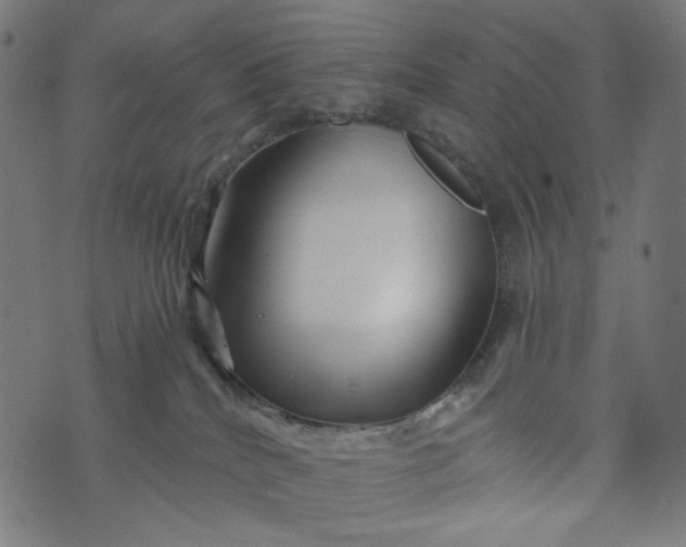 X0000073740040200608171317