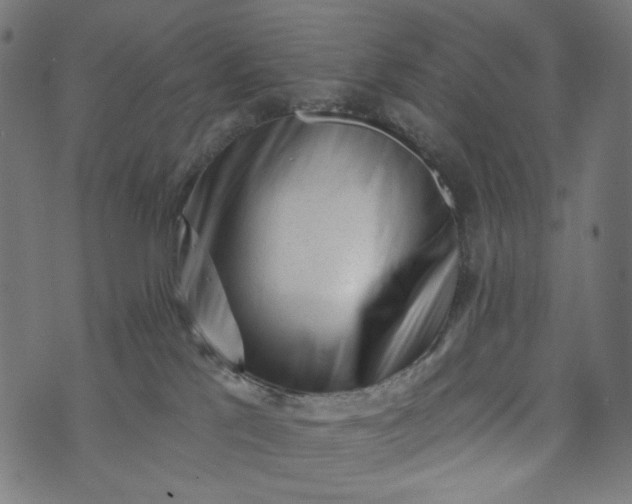 X0000073740041200608171317