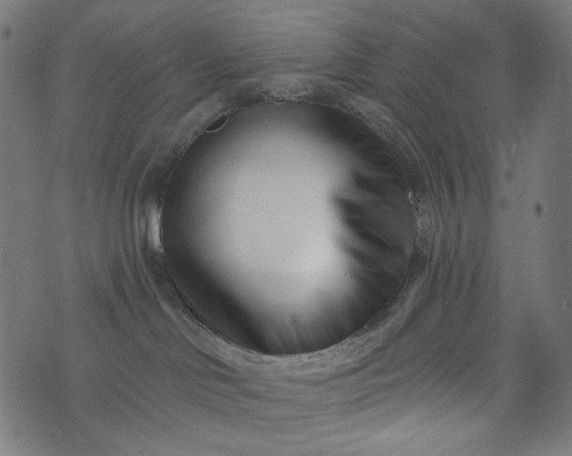 X0000073740046200608171317