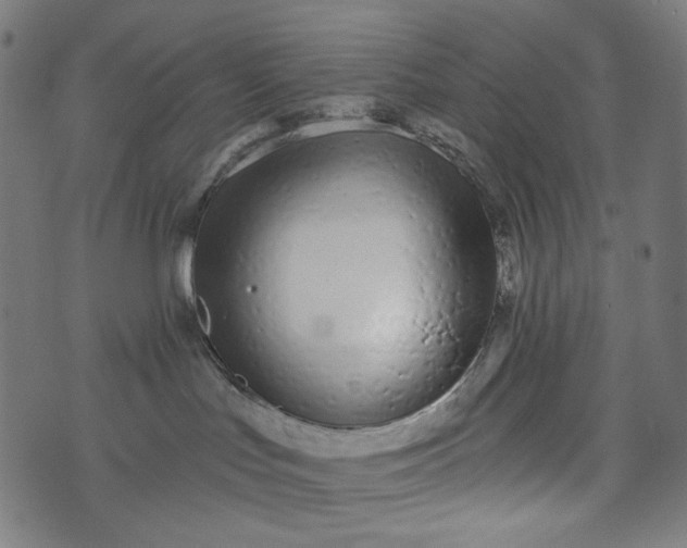 X0000073740047200608171317