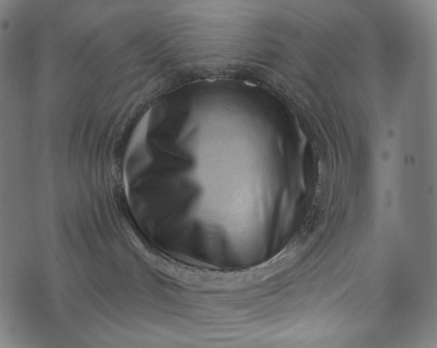 X0000073740048200608171317