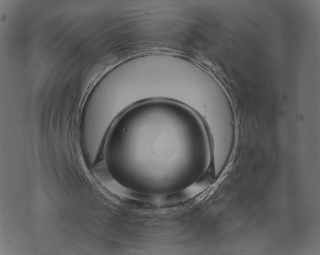 X0000073740049200608171316