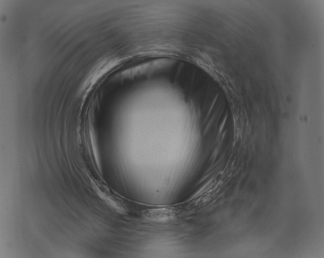 X0000073740050200608171316