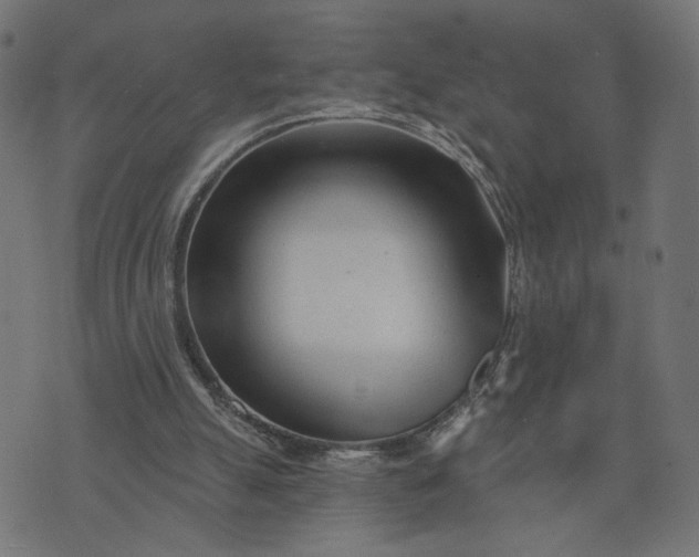 X0000073740055200608171316