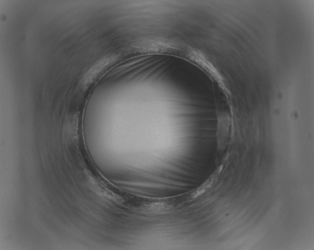 X0000073740058200608171316