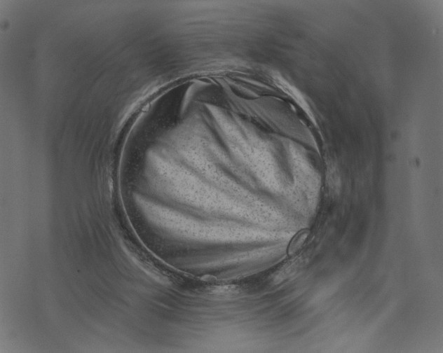 X0000073740059200608171316