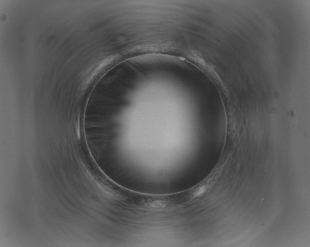 X0000073740062200608171316