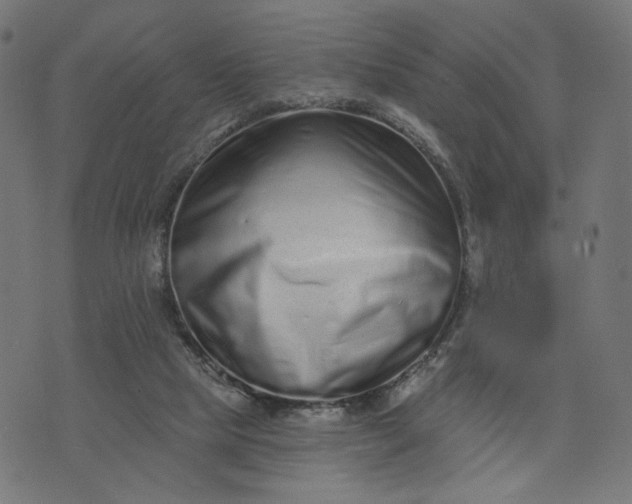 X0000073740065200608171316