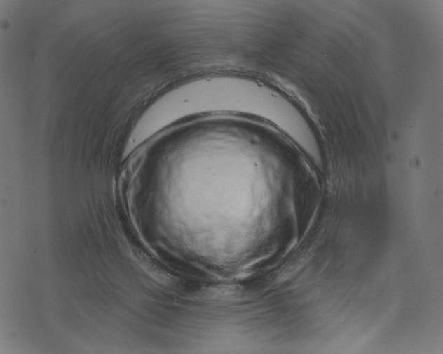 X0000073740069200608171316