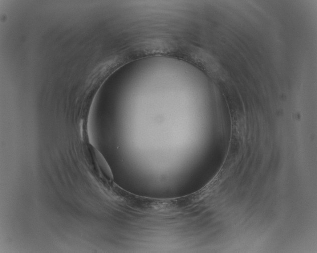 X0000073740070200608171316