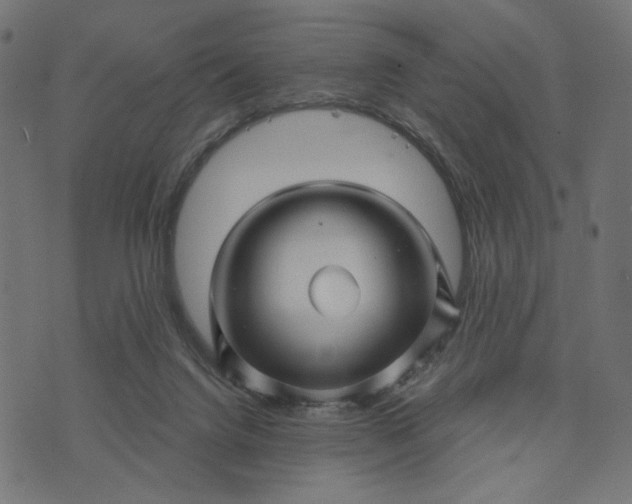 X0000073740072200608171316