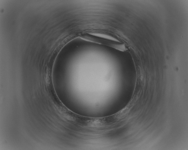 X0000073740074200608171317