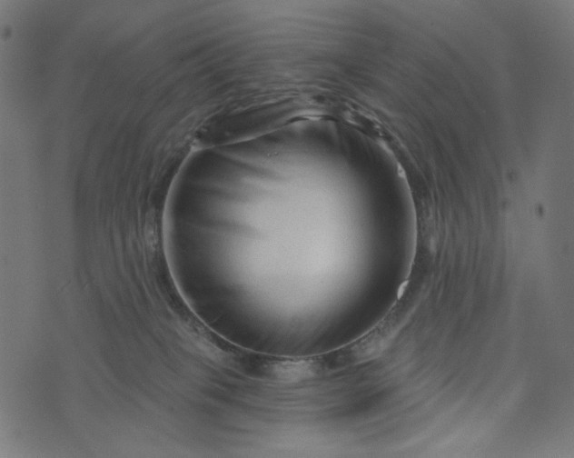 X0000073740085200608171317