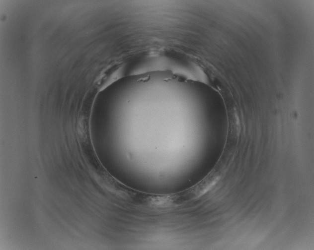 X0000073740088200608171317
