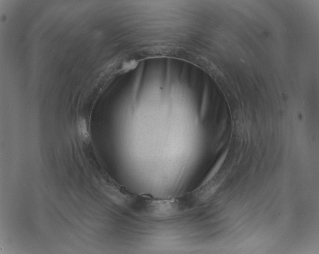X0000073740089200608171317