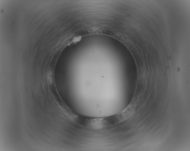 X0000073740090200608171317