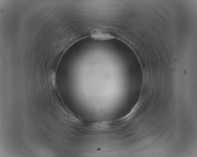 X0000073740094200608171317
