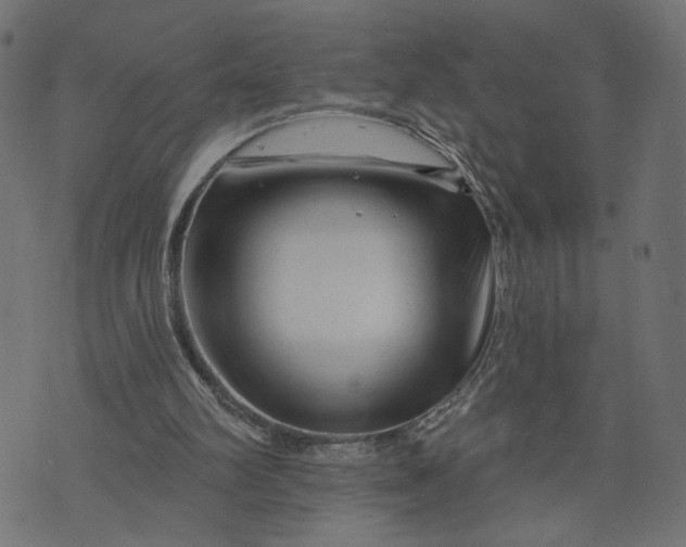 X0000073740102200608171316