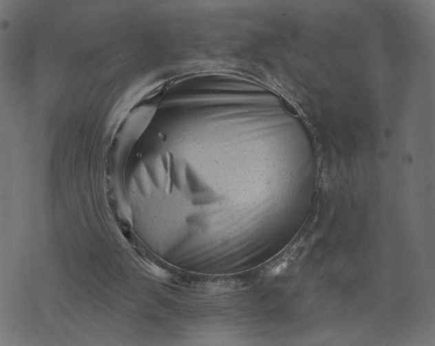 X0000073740103200608171316