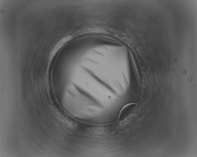 X0000073740104200608171316
