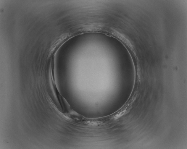 X0000073740105200608171316