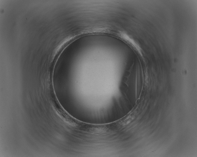 X0000073740107200608171316