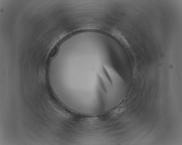 X0000073740108200608171316