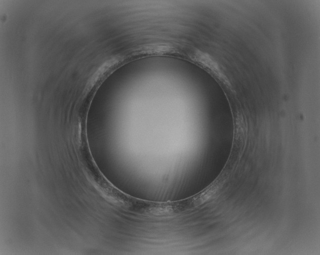 X0000073740110200608171316
