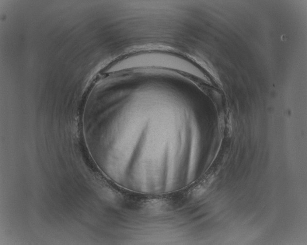 X0000073740111200608171316