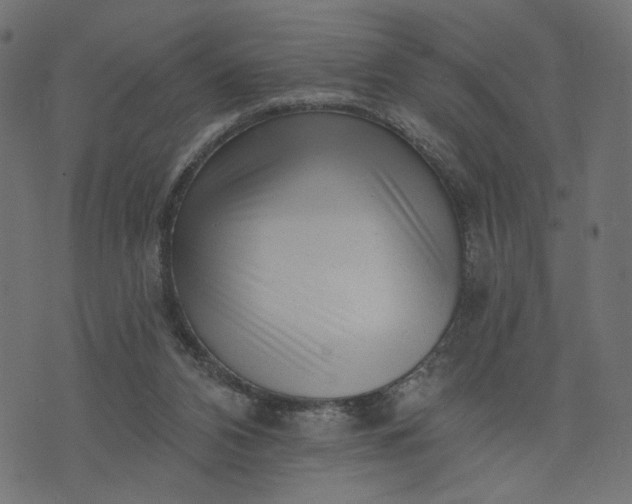X0000073740112200608171316