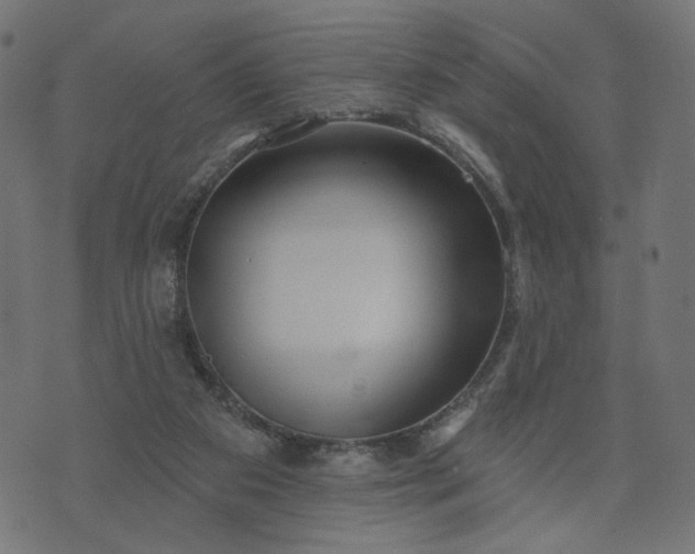 X0000073740113200608171316