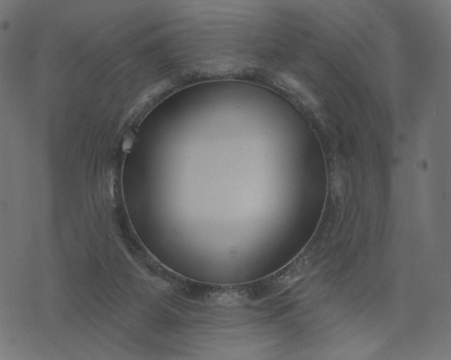 X0000073740115200608171316