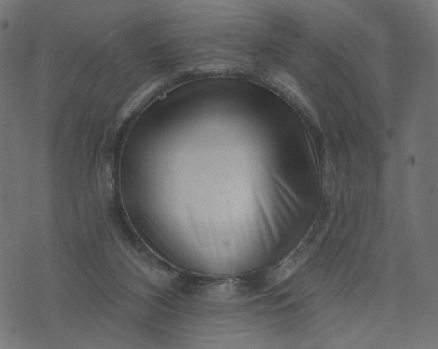 X0000073740116200608171316