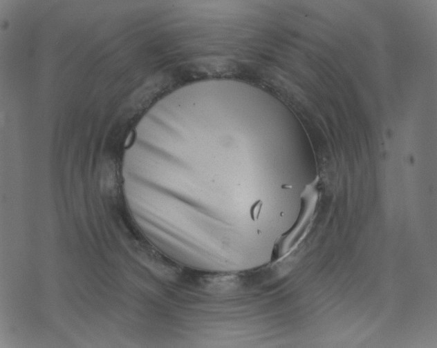 X0000073740132200608171316