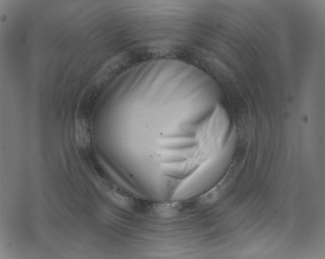 X0000073740136200608171315
