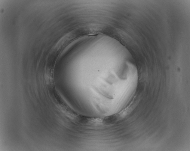 X0000073740140200608171315