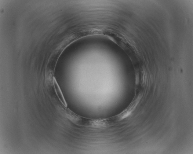 X0000073740141200608171315