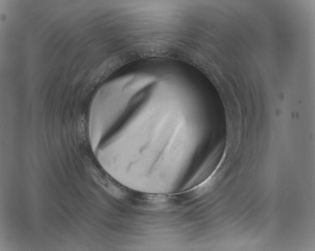 X0000073740144200608171315
