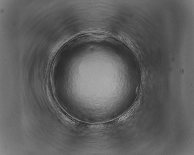 X0000073740145200608171315